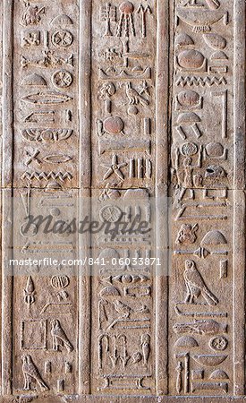 Hieroglyphic relief inside the Temple of Horus, Edfu, Egypt, North Africa, Africa