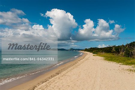 Pinney's beach, Nevis, St. Kitts and Nevis, West Indies, Caribbean, Central America