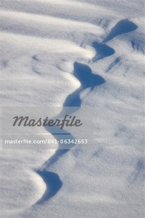 Snow forms, Bosque del Apache National Wildlife Refuge, New Mexico, United States of America, North America