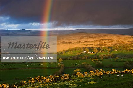 Rainbow above rolling farmland on the edges of Dartmoor National Park, Devon, England, United Kingdom, Europe