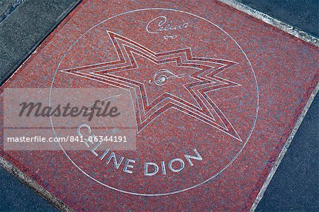 Closeup of Celine Dion's star on the sidewalk, Canada's Walk of Fame, Entertainment District, Toronto, Ontario, Canada, North America