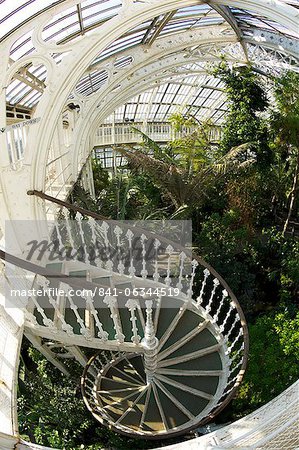 Spiral staircase in the Temperate House, Royal Botanic Gardens, Kew, UNESCO World Heritage Site, London, England, United Kingdom, Europe