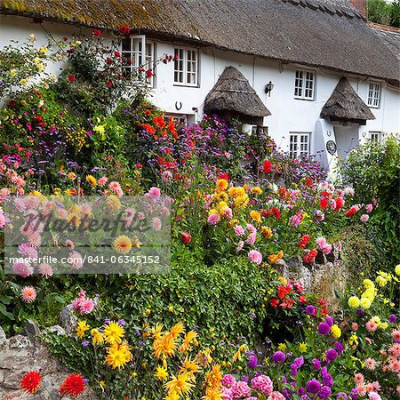 Flower Fronted Thatched Cottage Devon England United Kingdom Europe Stock Photo Masterfile Rights Managed Artist Robertharding Code 841 06345152