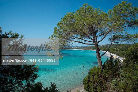 An elevated view of Palombaggia Beach near Porto-Vecchio, Corsica, France, Mediterranean, Europe
