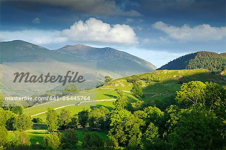 Matterdale Common, near Dale Bottom, Lake District National Park, Cumbria, England, United Kingdom, Europe