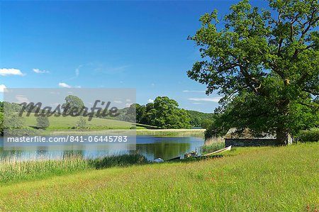 Esthwaite Water, Lake District National Park, Cumbria, England, United Kingdom, Europe