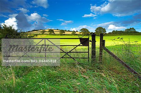 Old Railway Gate, Exe Valley, Devon, England, United Kingdom, Europe Old Railway Gate, Exe Valley, Devon, England, United Kingdom, Europe