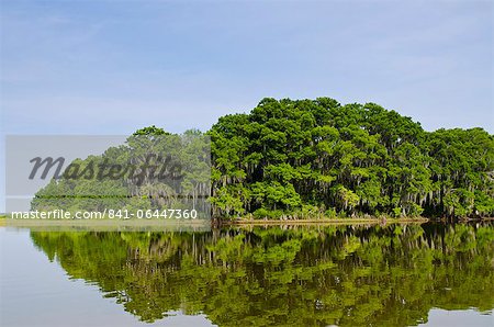 Everglades, UNESCO World Heritage Site, Florida, United States of America, North America