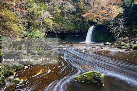Sgwd Gwladus waterfall surrounded by autumnal foliage, near Ystradfellte, Brecon Beacons National Park, Powys, Wales, United Kingdom, Europe