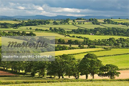 Rolling farmland in summer time, Morchard Bishop, Devon, England, United Kingdom, Europe