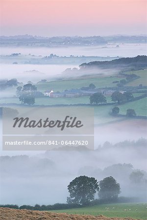 Mist covered countryside at dawn, Stockleigh Pomeroy, Devon, England, United Kingdom, Europe
