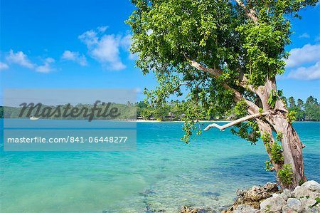 View across the bay to  Oyster island, Island of Espiritu Santo, Vanuatu, South Pacific, Pacific