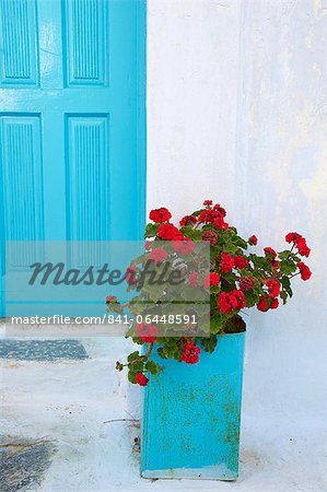 Red geraniums, Chora, Amorgos, Cyclades, Aegean, Greek Islands, Greece, Europe