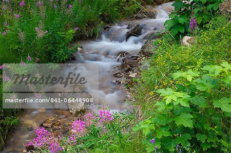 Stream, Vigo di Fassa, Fassa Valley, Trento Province, Trentino-Alto Adige/South Tyrol, Italian Dolomites, Italy, Europe