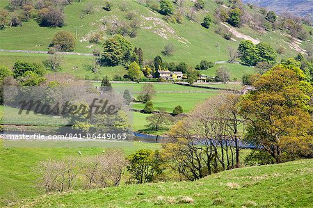 Countryside near Burnsall, Wharfedale, Yorkshire Dales, Yorkshire, England, United Kingdom, Europe