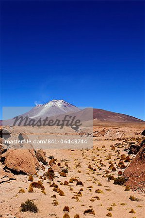 Southwest Highlands, Bolivia, South America