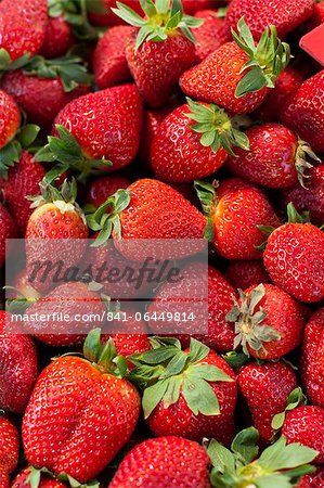 Strawberries for sale at the Sunday morning market, Pollenca, Tramuntana, Mallorca, Balearic Islands, Spain, Europe