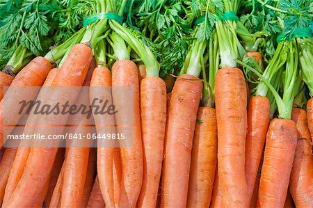 Carrots for sale at the Sunday morning market, Pollenca, Tramuntana, Mallorca, Balearic Islands, Spain, Europe