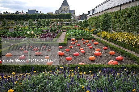 Vegetable garden, Chateau de Villandry, UNESCO World Heritage Site, Indre-et-Loire, Touraine, Loire Valley, France, Europe