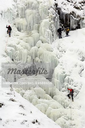 Ice climbing on Grey Mare's Tail Waterfall, Moffat Hills, Moffat Dale, Dumfries and Galloway, Scotland, United Kingdom, Europe