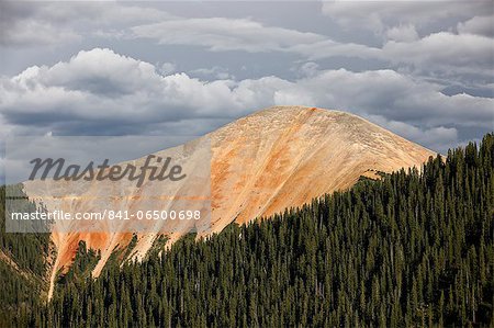 Bear Mountain, San Juan National Forest, Colorado, United States of America, North America