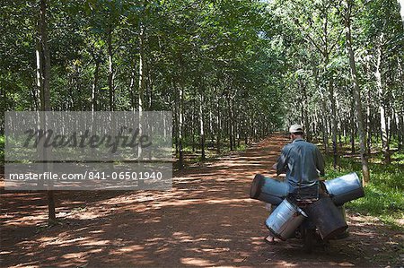 Rubber worker in rubber plantation, Kampong Cham, Cambodia, Indochina, Southeast Asia, Asia