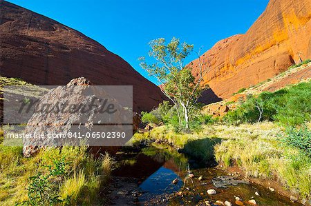 The Olgas (Kata Tjuta), Uluru-Kata Tjuta National Park, UNESCO World Heritage Site, Northern Territory, Australia, Pacific