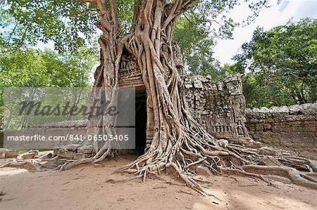 Ta Som, giant roots overgrowing on the gopura (entrance gate), Angkor, UNESCO World Heritage Site, Siem Reap, Cambodia, Indochina, Southeast Asia, Asia