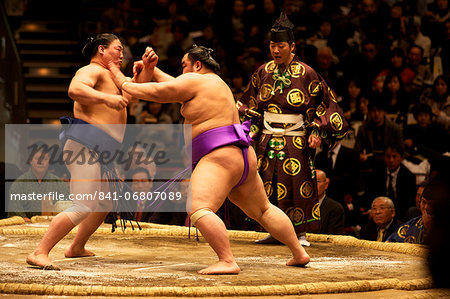 Sumo wrestling competition at the Kokugikan stadium, Tokyo, Japan, Asia