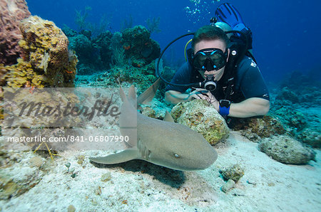 Close encounters with Nurse shark on G Spot Reef, Turks and Caicos, West Indies, Caribbean, Central America