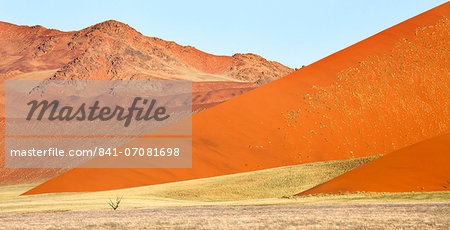 Overlapping orange sand dunes of the ancient Namib Desert near Sesriem, Namib Naukluft Park, Namibia, Africa