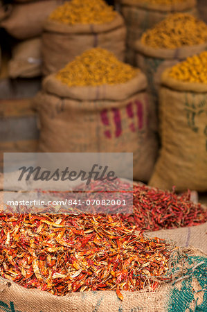 Sacks of chillies in a market, Delhi, India, Asia