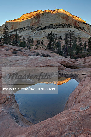 Pool in slick rock at dawn, Zion National Park, Utah, United States of America, North America Pool in slick rock at dawn, Zion National Park, Utah, United States of America, North America