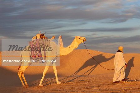 Camel driver in the Sahara, Douz, Kebili, Tunisia, North Africa, Africa