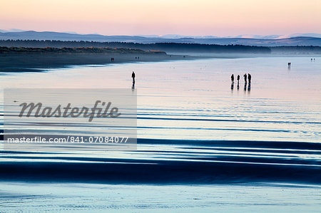 Silhouetted figures on the West Sands at dusk, St Andrews, Fife, Scotland, United Kingdom, Europe