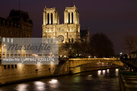 Cathedral Notre Dame de Paris on Île de la Cité̩ by the river Seine, Paris, France