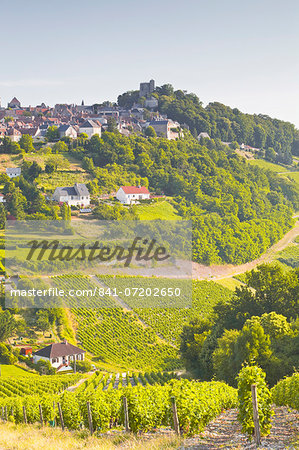 The vineyards of Sancerre in the Loire Valley, Cher, Centre, France, Europe The vineyards of Sancerre in the Loire Valley, Cher, Centre, France, Europe