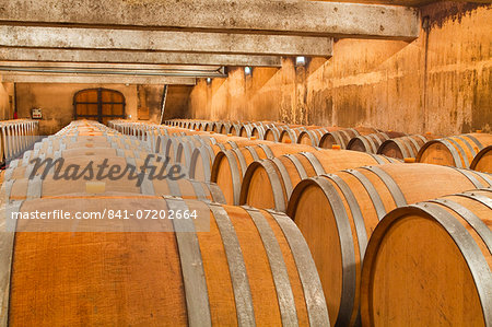 The wooden wine barrels used to age the wine at Gitton Pere et Fils in Sancerre, Cher, Centre, France, Europe