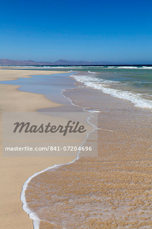 Beach of Risco del Paso, Fuerteventura, Canary Islands, Spain, Atlantic, Europe
