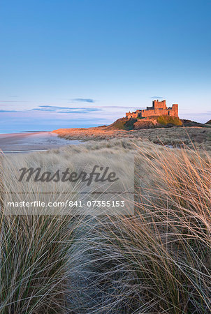 Evening sunlight illuminates Bamburgh Castle, Northumberland, England, United Kingdom, Europe