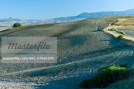 Undulating hills by San Quirico d'Orcia, in the Val D'Orcia area of Tuscany, Italy
