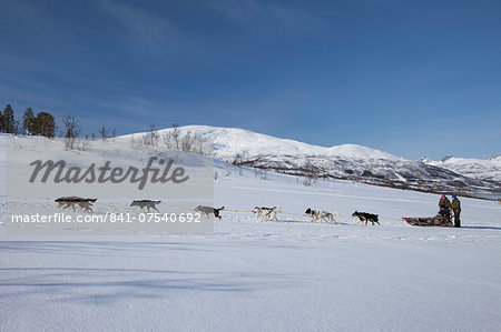 Alaskan Huskies dog-sledding at Villmarkssenter wilderness centre on Kvaloya Island, Tromso in Arctic Circle Northern Norway