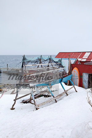 Stockfish cod drying on traditional racks, hjell, in the Arctic Circle on the island of Ringvassoya in region of Tromso, Northern Norway