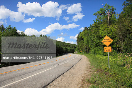 Moose Crossing Sign, White Mountain National Forest, New Hampshire, New England, United States of America, North America