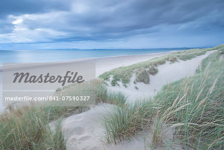 Sand dunes above Harlech Beach, Snowdonia National Park, Gwynedd, Wales, United Kingdom, Europe