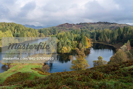 An autumn view of Tarn Hows, Lake District National Park, Cumbria, England, United Kingdom, Europe