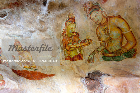 Sigiriya (Lion Rock) frescoes or ancient wall paintings, UNESCO World Heritage Site, Sri Lanka, Asia