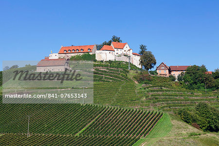 Staufenberg Castle, Durbach, Black Forest, Baden Wurttemberg, Germany, Europe