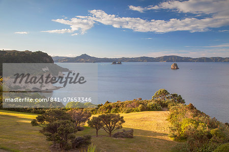 View of Cathedral Cove Marine Reserve (Te Whanganui-A-Hei), Coromandel Peninsula, Waikato, North Island, New Zealand, Pacific