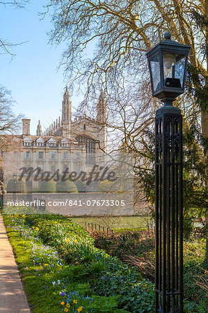 A view of Kings College from the Backs, Cambridge, Cambridgeshire, England, United Kingdom, Europe